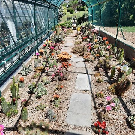 Tranquilla Dependance Nel Verde Dell'Alta Brianza. Sirtori Bagian luar foto