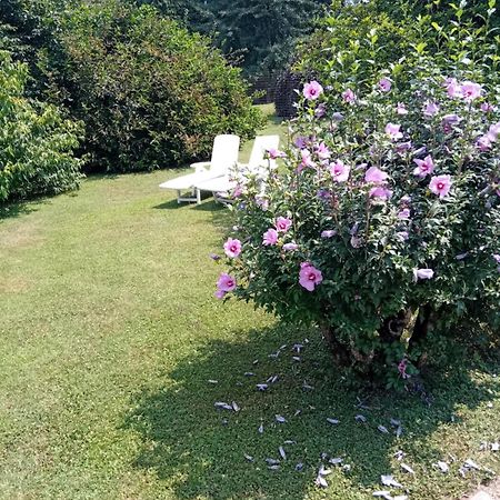 Tranquilla Dependance Nel Verde Dell'Alta Brianza. Sirtori Bagian luar foto