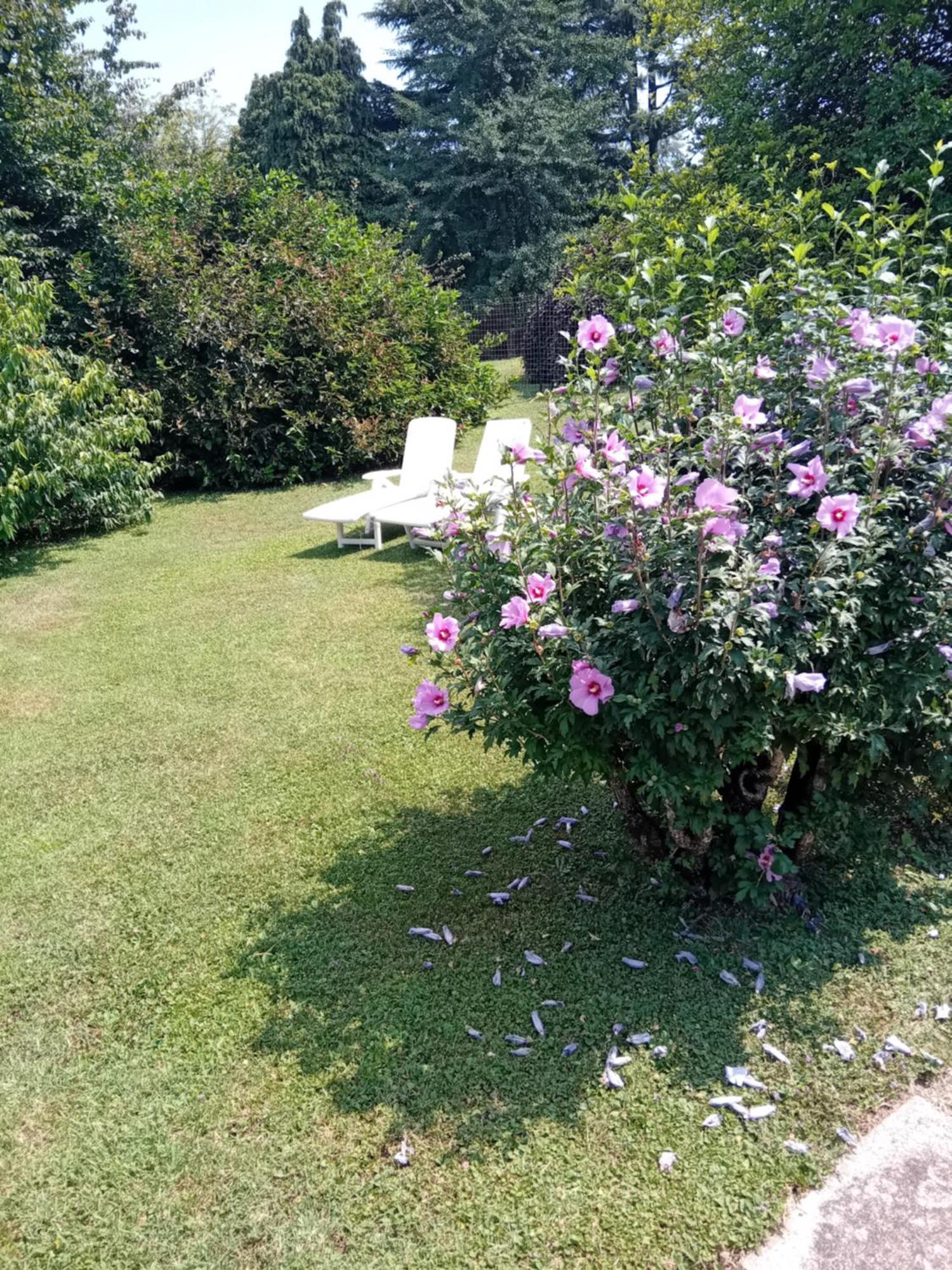 Tranquilla Dependance Nel Verde Dell'Alta Brianza. Sirtori Bagian luar foto
